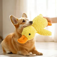 Peluche Canard – Un compagnon de jeu irrésistible et réconfortant