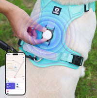 Harnais Anti-Traction – Contrôle, confort et sécurité en promenade