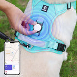 Harnais Anti-Traction – Contrôle, confort et sécurité en promenade